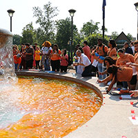 Franciscan Heritage Fountain