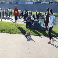 Celebration of Wellness 5k Event