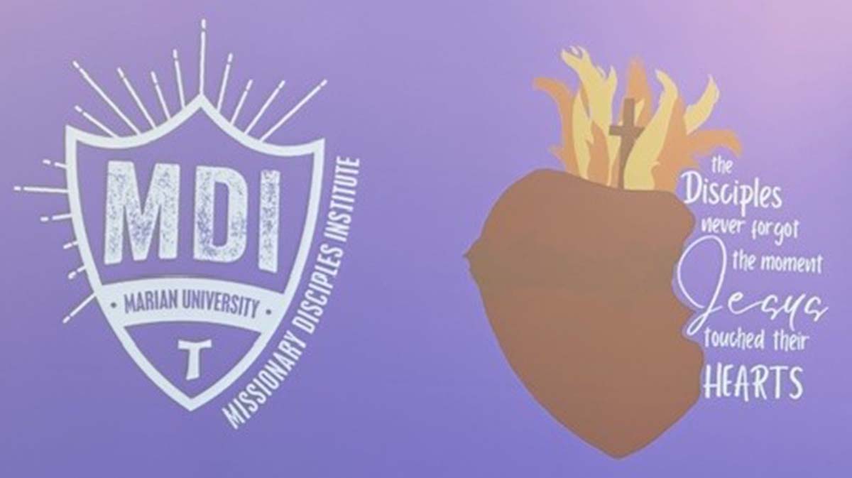 MDI logo
