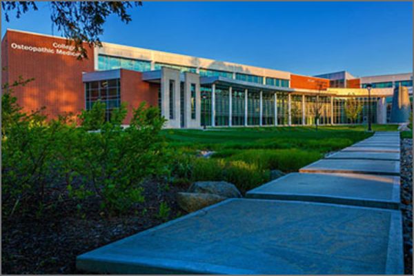 College of Osteopathic Medicine