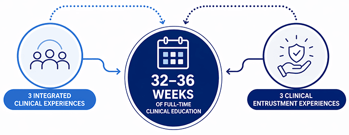 DPT Clinical Education Track Graphic