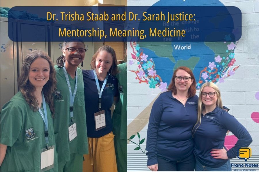 Mentorship, Meaning, Medicine