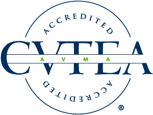 AVMA Photo