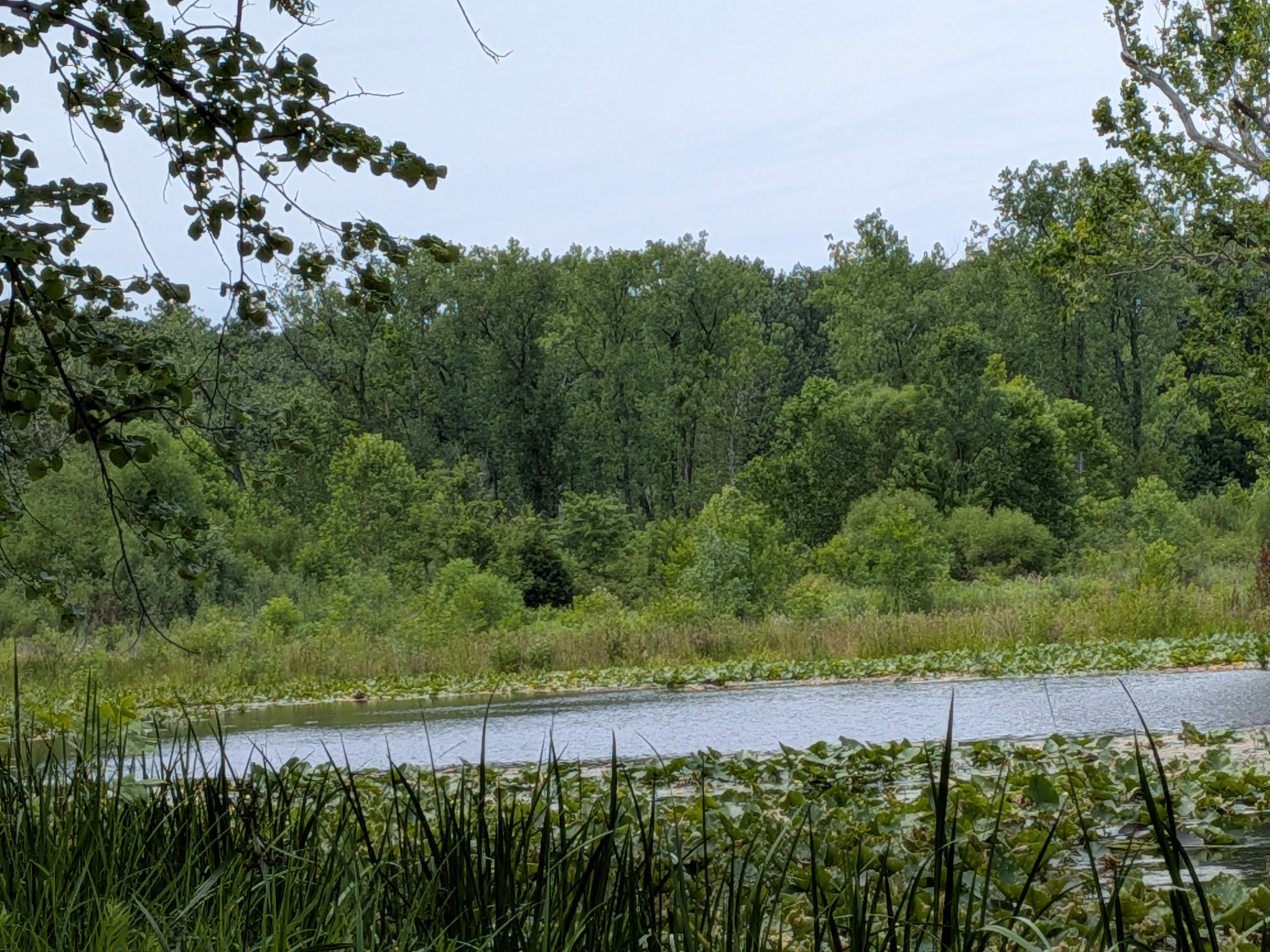 Marian University Eco Lab