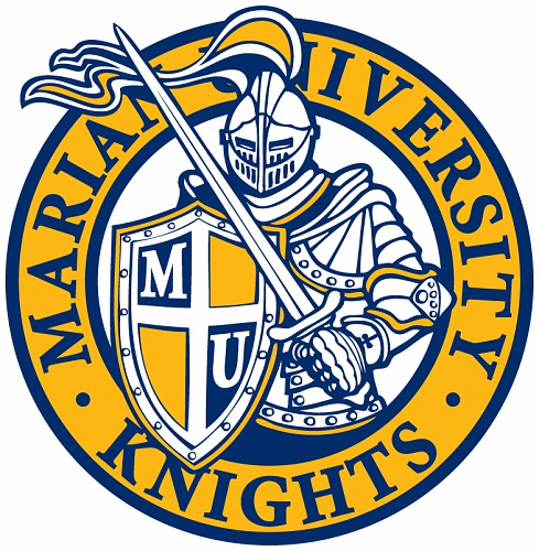 Knights Logo