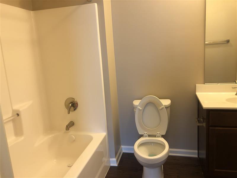 Overlook Bathroom