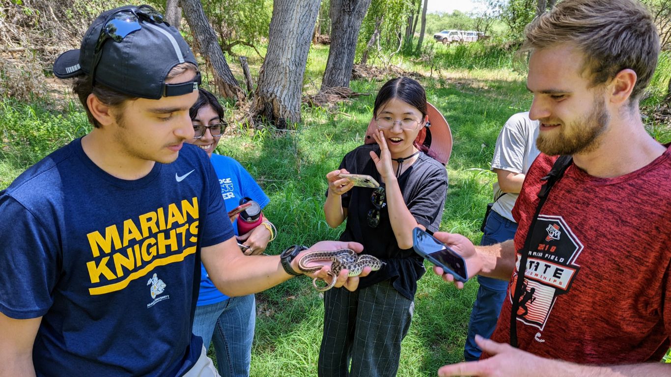 Catching Wildlife