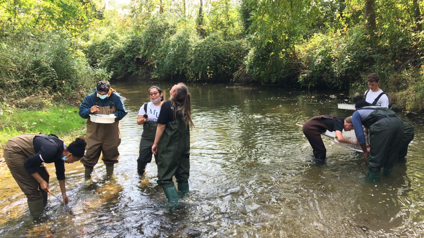 Creek Sampling