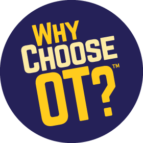 Why Choose OT Logo