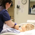 Birth Sim