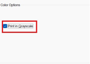Checkbox option for printing in grayscale.