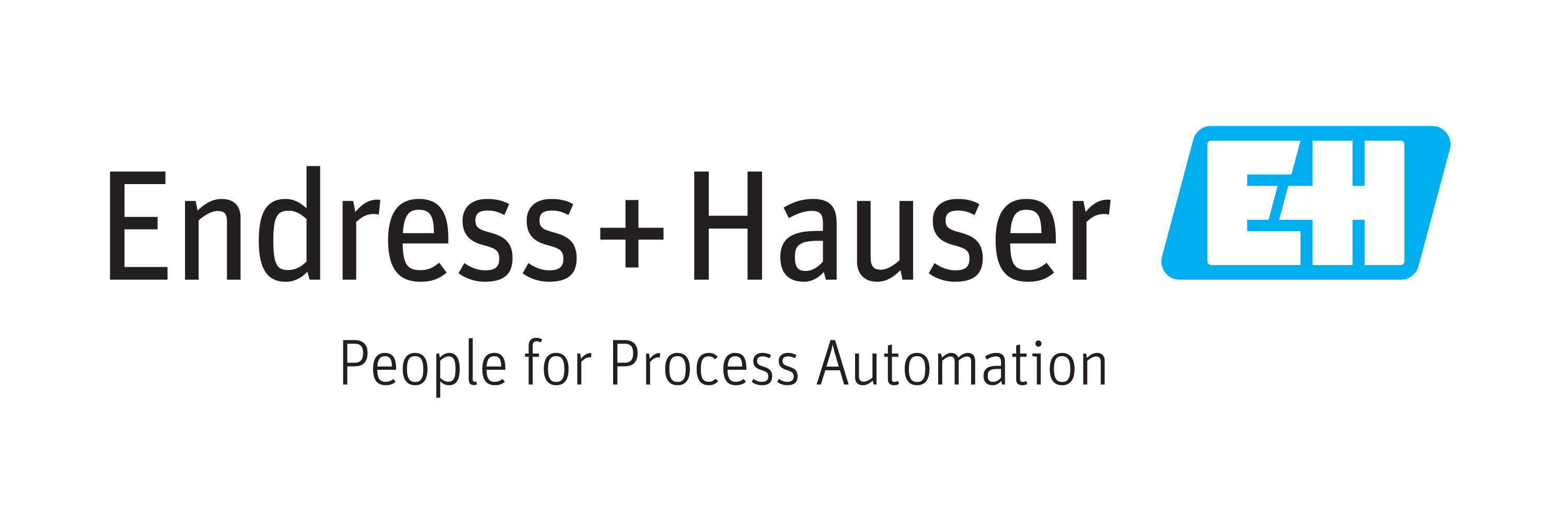 Endress+Hauser logo with the tagline "People for Process Automation."