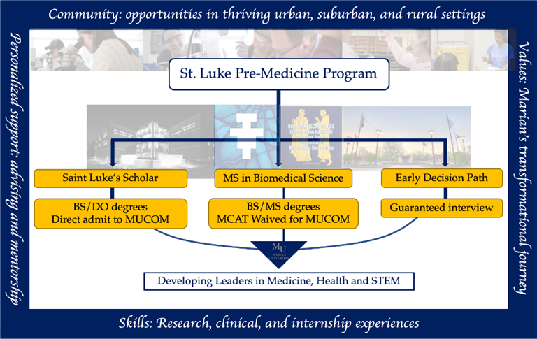 St. Luke Pre-Medicine Program