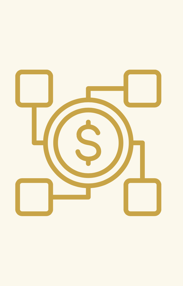 Network Connect Icon