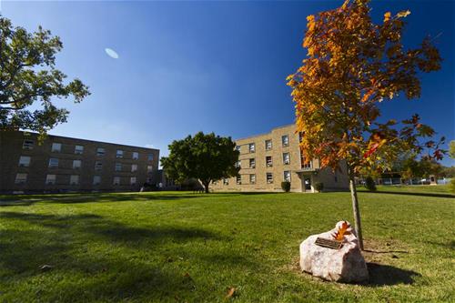 Doyle Hall