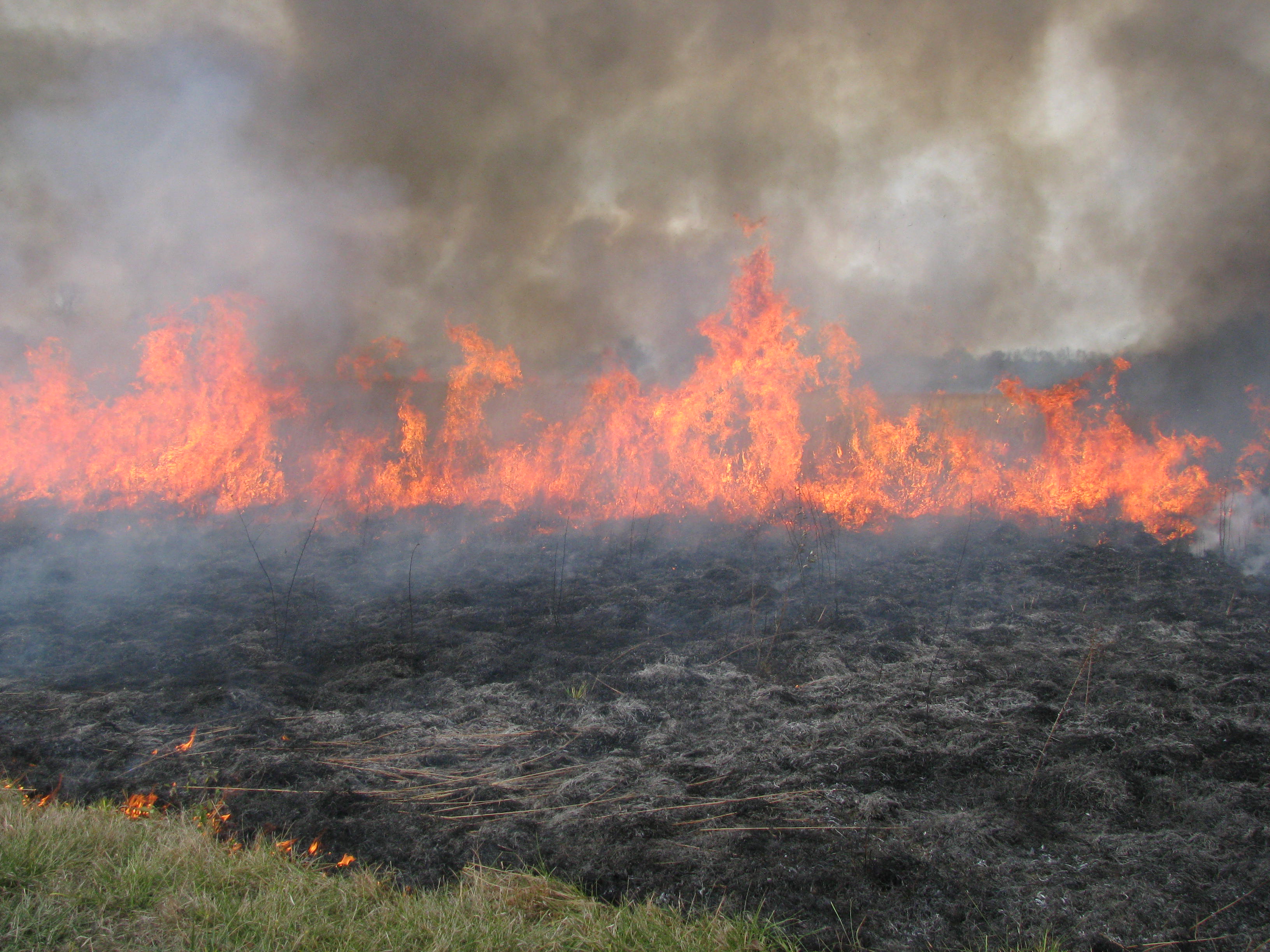 Burning Ecolab