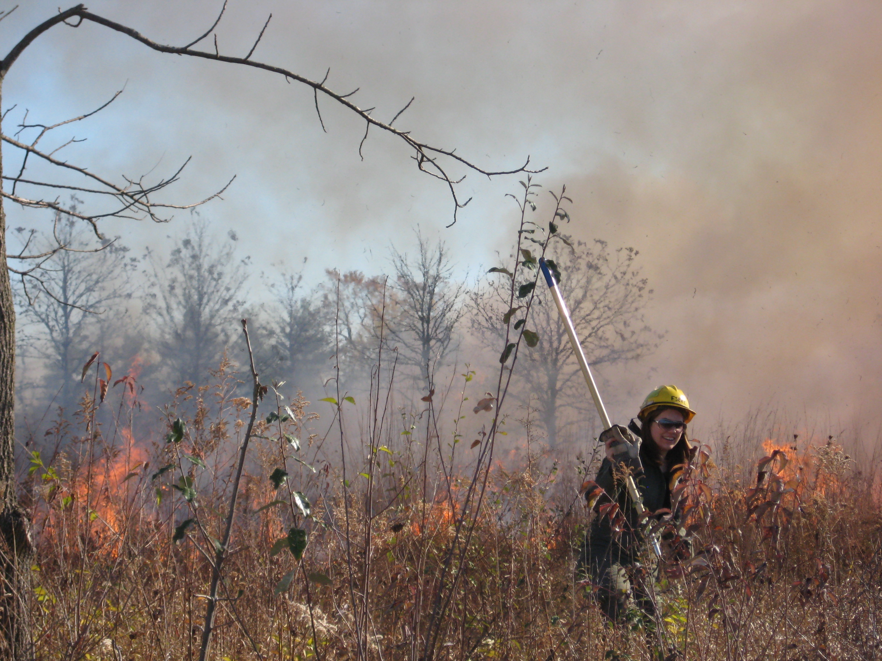 Burning Ecolab
