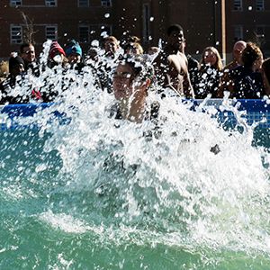 Polar Plunge