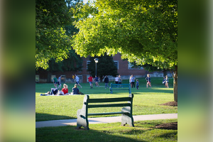 Campus Bench