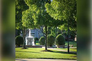 Campus
