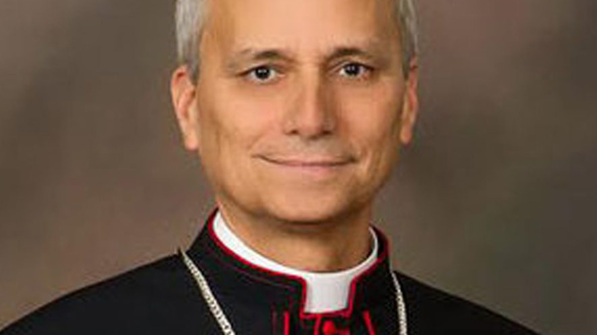 Pope Leo XIV