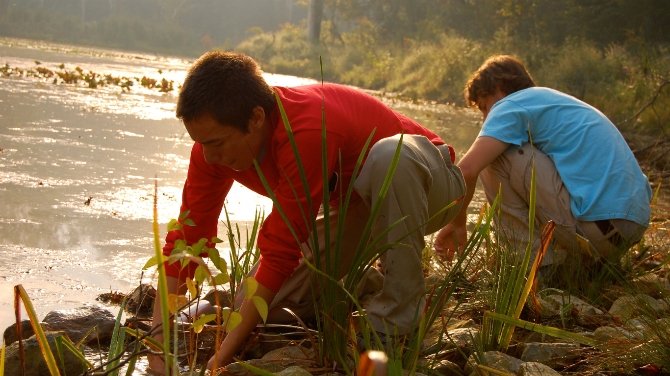 Interns working near the water in the EcoLab