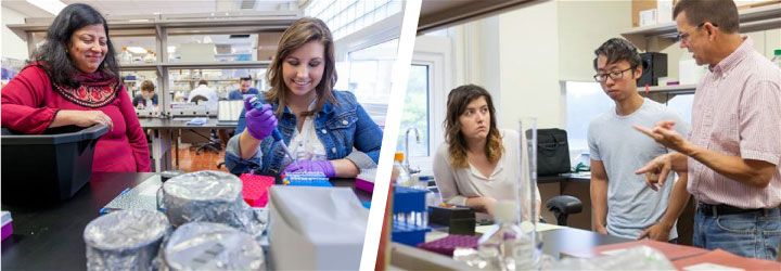 Biomedical Science Student