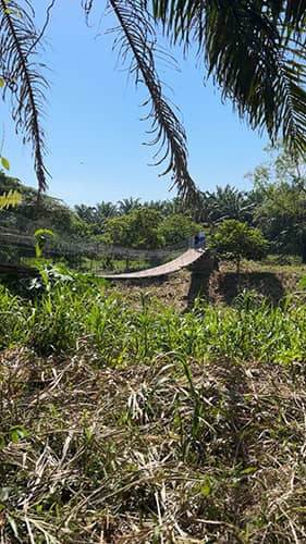 Swinging Honduras Bridge