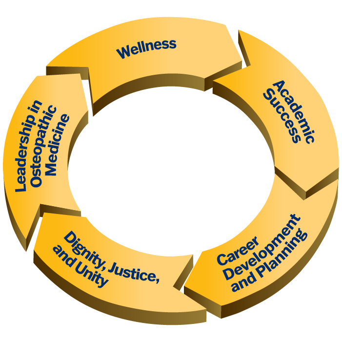 Professional Identity Formation Wheel